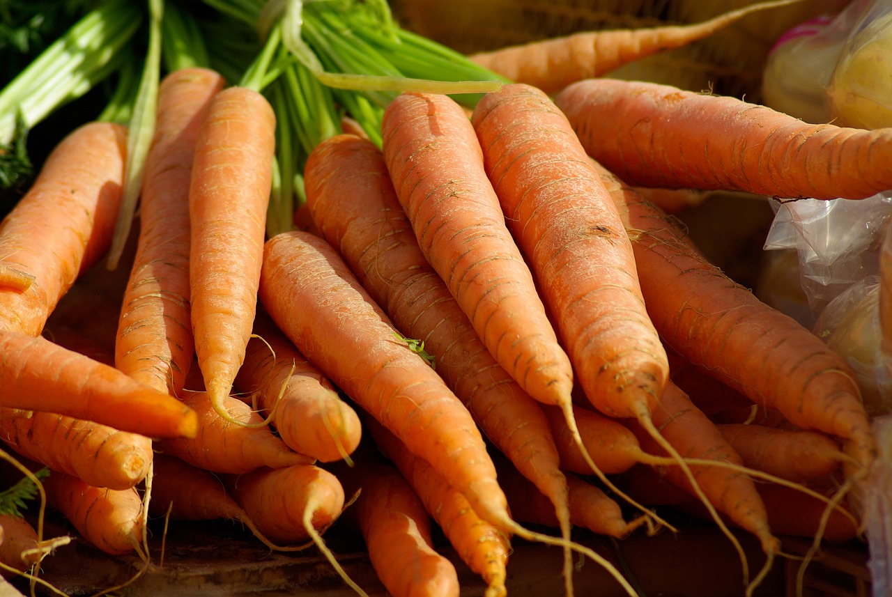 How to Create a Vegetable Patch in Your Backyard